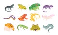 Cartoon exotic amphibian and reptiles, lizards, newts, toads and frogs. Tropical animals, gecko, triton, salamander and