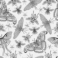 Cartoon exotic butterfly insects silhouettes seamless pattern. Royalty Free Stock Photo