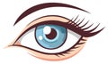 Cartoon eye illustration with eyelashes, eyebrow, and light blue iris Royalty Free Stock Photo