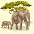 Cartoon family of african elephants walking in savannah Royalty Free Stock Photo