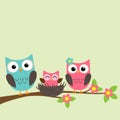 Cartoon family of owls