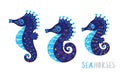 Cartoon family sea horse set. Vector illustration Royalty Free Stock Photo