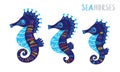 Cartoon family sea horse set. Vector illustration Royalty Free Stock Photo