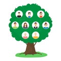 Cartoon Family Tree Infographics Concept Card Poster. Vector Royalty Free Stock Photo