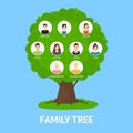 Cartoon Family Tree Infographics Concept Card Poster. Vector Royalty Free Stock Photo