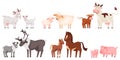 Cartoon farm animal family, cute baby animals and their mothers. Mother pig with little piglet, sheep and lamb, cow and Royalty Free Stock Photo