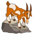 Cartoon farm animals for kids. Cute goaton the rock.