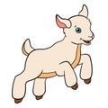 Cartoon farm animals for kids. Little cute baby goat. Royalty Free Stock Photo