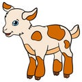 Cartoon farm animals for kids. Little cute spotted baby goat. Royalty Free Stock Photo