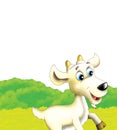 Cartoon farm scene with animal goat having fun in nature Royalty Free Stock Photo