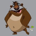 Cartoon fat character smiling bear with a flower Royalty Free Stock Photo