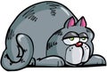 Cartoon of fat grey cat Royalty Free Stock Photo