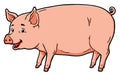 Cartoon fat pig standing in four legs