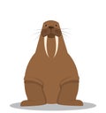 Cartoon fat walrus with big tusks