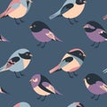 Cartoon feathered and winged birds seamless background