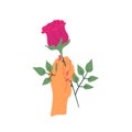 Cartoon Female Hand Holding Red Rose. Vector Royalty Free Stock Photo