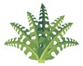 Cartoon fern. Green ancient forest natural plant