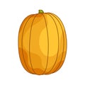 Cartoon festive pumpkin. Decorative vegetable for Thanksgiving, Halloween, Harvest Festival. Isolated element. Simple Royalty Free Stock Photo