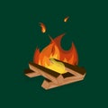 Cartoon Fire Wood and Campfire on a Green. Vector