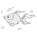 Cartoon fish with bubbles. Vector illustration of a funny fish. Royalty Free Stock Photo