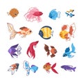 Cartoon fish. Colorful sea animals. Hand drawn clipart of tropical underwater inhabitants. Isolated decorative aquarium