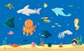 Cartoon fish. Cute underwater animals, marine inhabitants. Funny dolphin and eel, squid or starfish. Undersea landscape Royalty Free Stock Photo