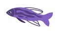 Cartoon fish. Doodle ocean cute animal. Violet marine swimming creature. Isolated aquarium element template. Aquatic pet