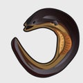 Cartoon fish european eel. Vector illustration Royalty Free Stock Photo