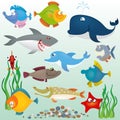 Cartoon fish set Royalty Free Stock Photo