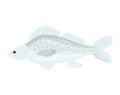 Cartoon fish swimming, gray spotted freshwater fish, side view. Aquatic life and underwater fauna vector illustration