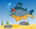 Cartoon of fish to piranhases sailling in river