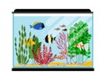 Cartoon fishes in aquarium. Saltwater or freshwater fish tank illustration Royalty Free Stock Photo