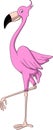 Cartoon flamingo