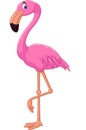 Cartoon flamingo bird Royalty Free Stock Photo