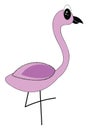 Cartoon flamingo bird set on isolated white background viewed from the side  vector or color illustration Royalty Free Stock Photo