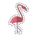 Cartoon flamingo bird tropical icon Royalty Free Stock Photo