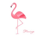 Cartoon flamingo bird. Royalty Free Stock Photo