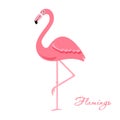 Cartoon flamingo bird. Royalty Free Stock Photo