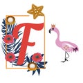 Cartoon Flamingo and letter F, tropical decoration, for baby book Royalty Free Stock Photo