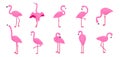 Cartoon flamingo set. Tropical cute pink birds in different poses, standing and sitting, collection of summer animal Royalty Free Stock Photo