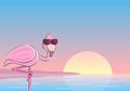 Cartoon flamingo with sunglasses