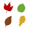 Cartoon flat autumn leaves on white background. Vector illustration.