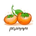 Cartoon, flat, beautiful, delicious persimmon