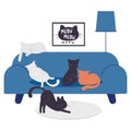 Cartoon flat cats on the sofa on white background