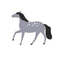 Cartoon flat character grey horse