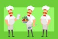 Cartoon flat fat chef cook man character vector Royalty Free Stock Photo