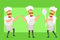 Cartoon flat fat chef cook man character vector Royalty Free Stock Photo