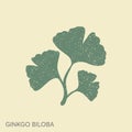 Cartoon flat ginkgo biloba leaves illustration in a retro style