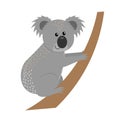 cartoon flat koala from side