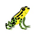 cartoon flat poison frog Royalty Free Stock Photo